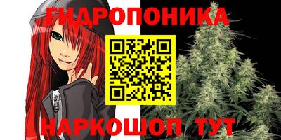 крисы Бузулук