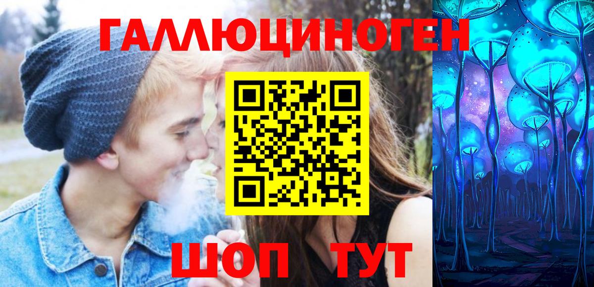 Псилоцибиновые грибы Psilocybe Лиски