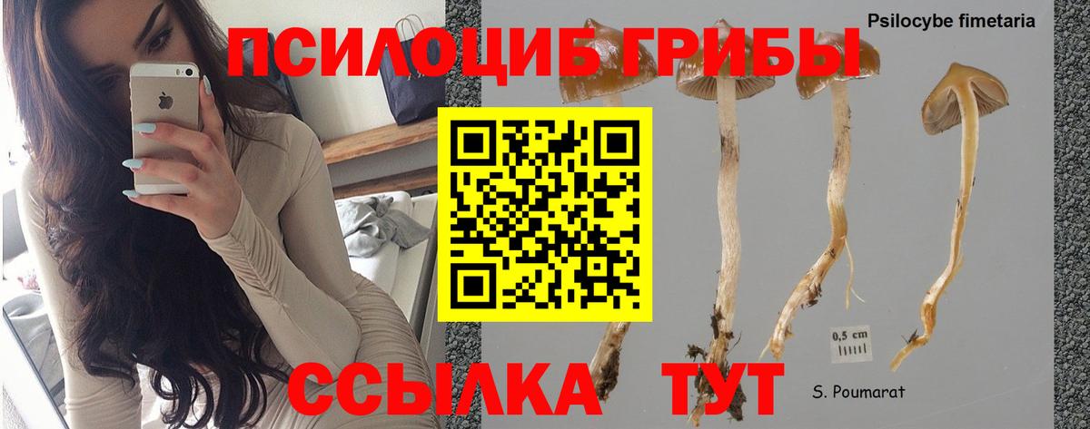 Псилоцибиновые грибы ЛСД  закладки  Лиски  Вход с VPN  Галлюциногенные грибы Cubensis 